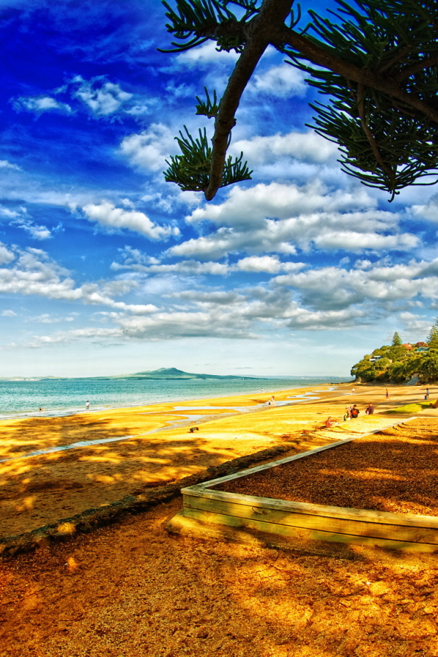 В тени деревьев