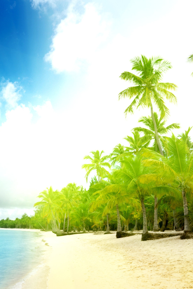 Пальмы на пляже