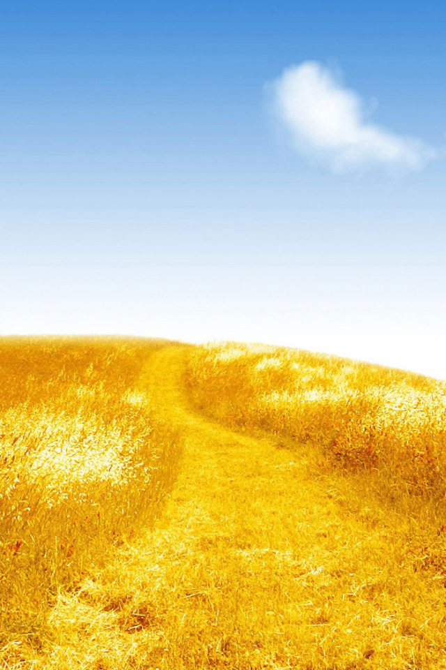 Золотистое поле