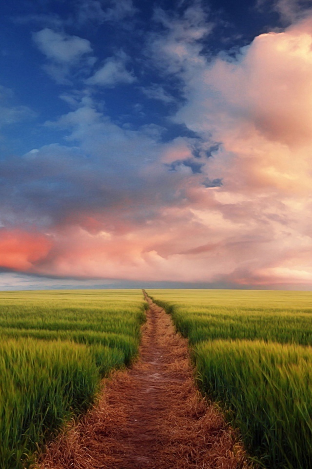 Тропинка через поле