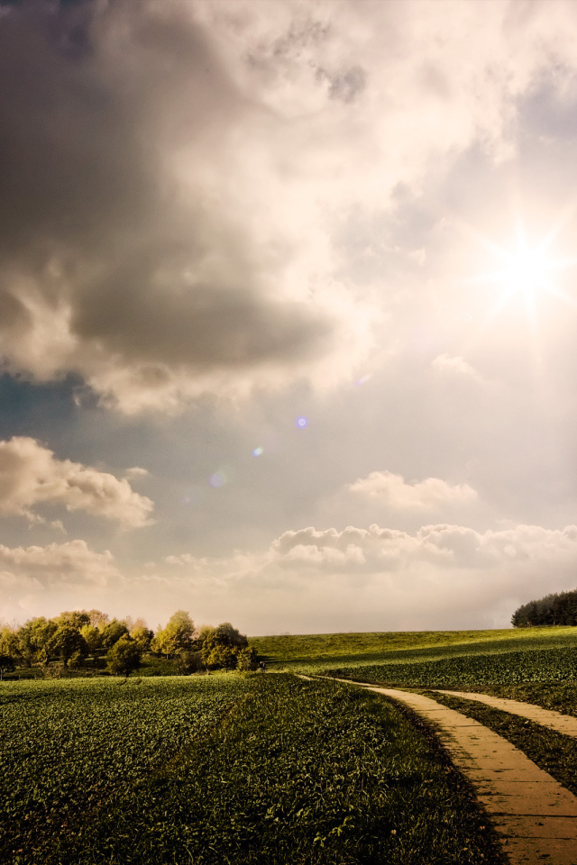 Дорога в поле