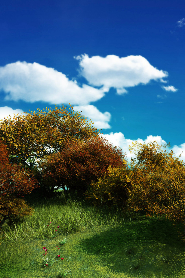 Кустарники на фоне голубого неба