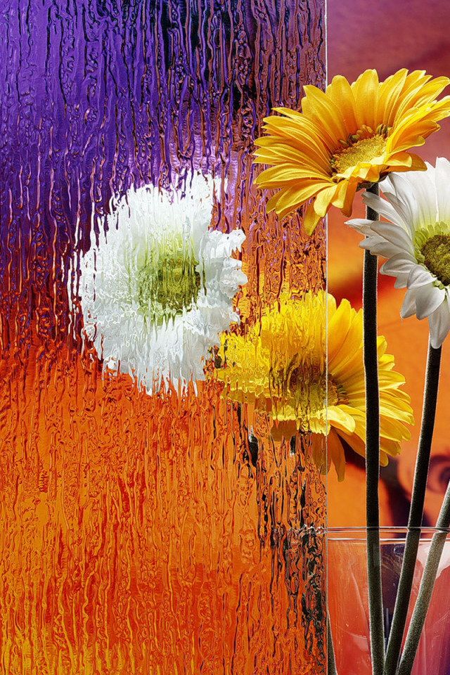 Герберы в вазе