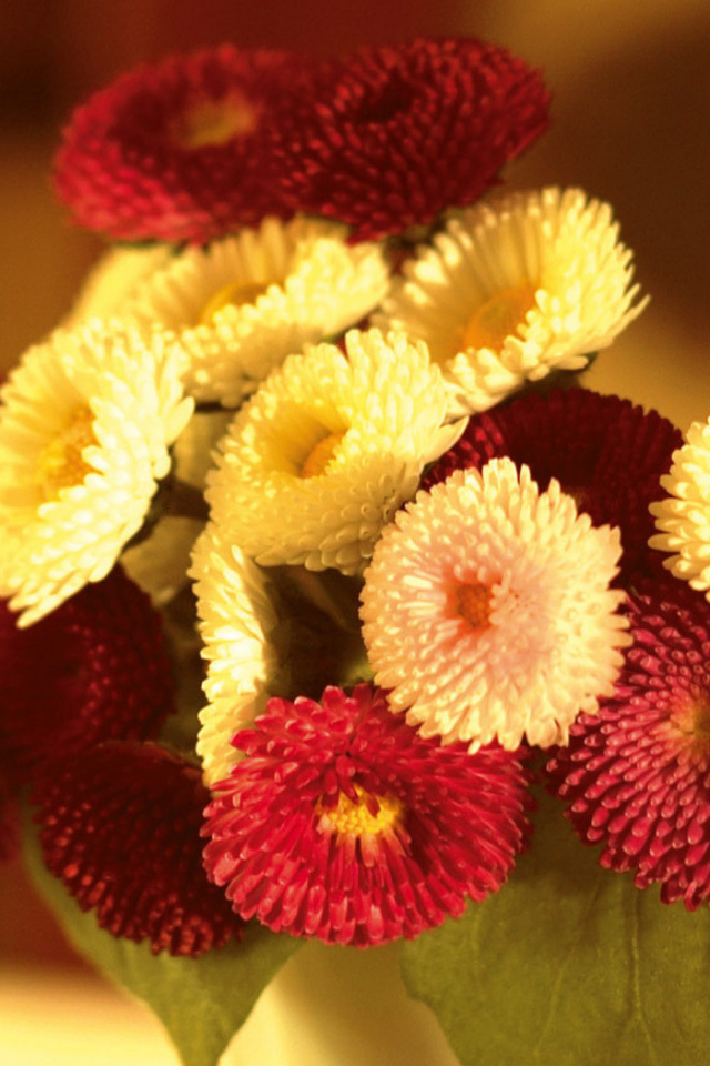 Маленький букетик