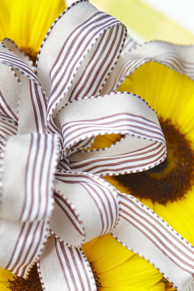 Солнечный подарок