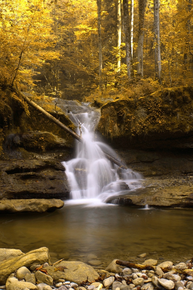 Водопад в желтом лесу
