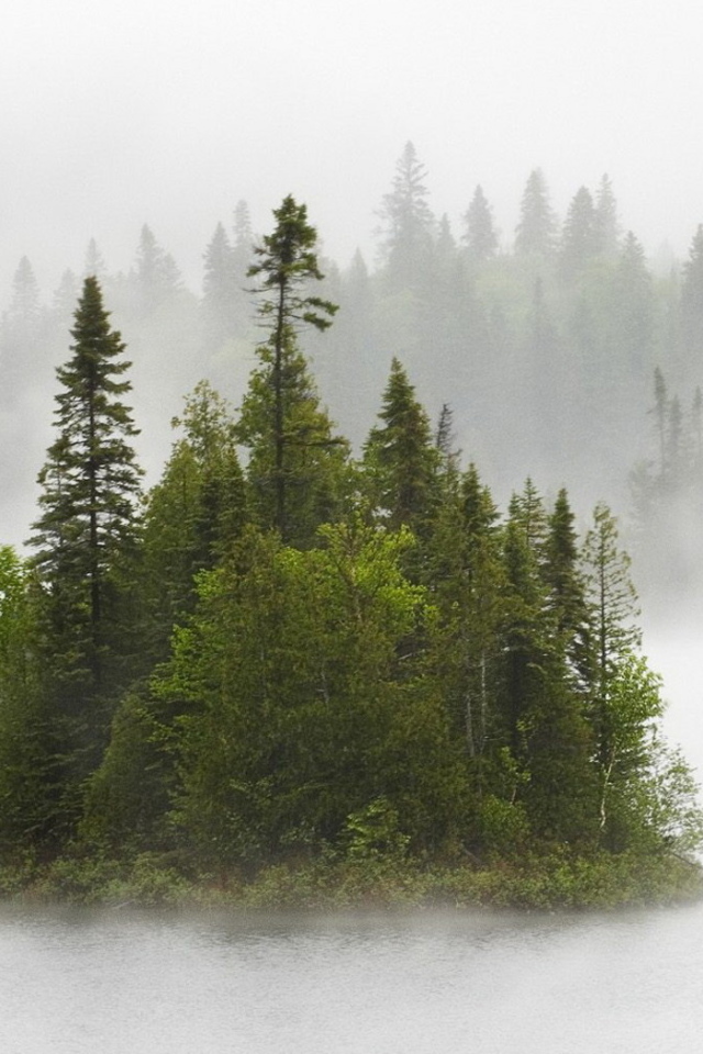 Туманные острова