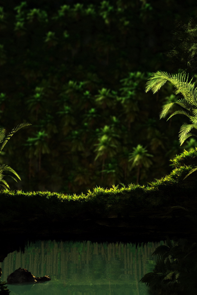 Тропический лес