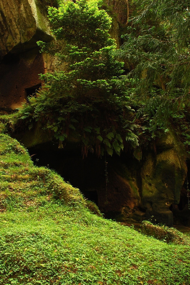 Храм в джунглях