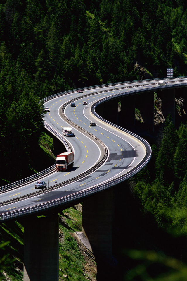 Возвышаясь над деревьями