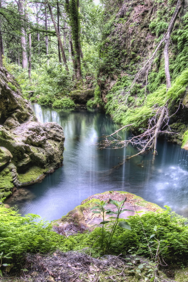 Лес, каменные склоны, ручей