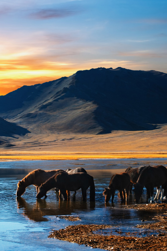 Озеро в горах