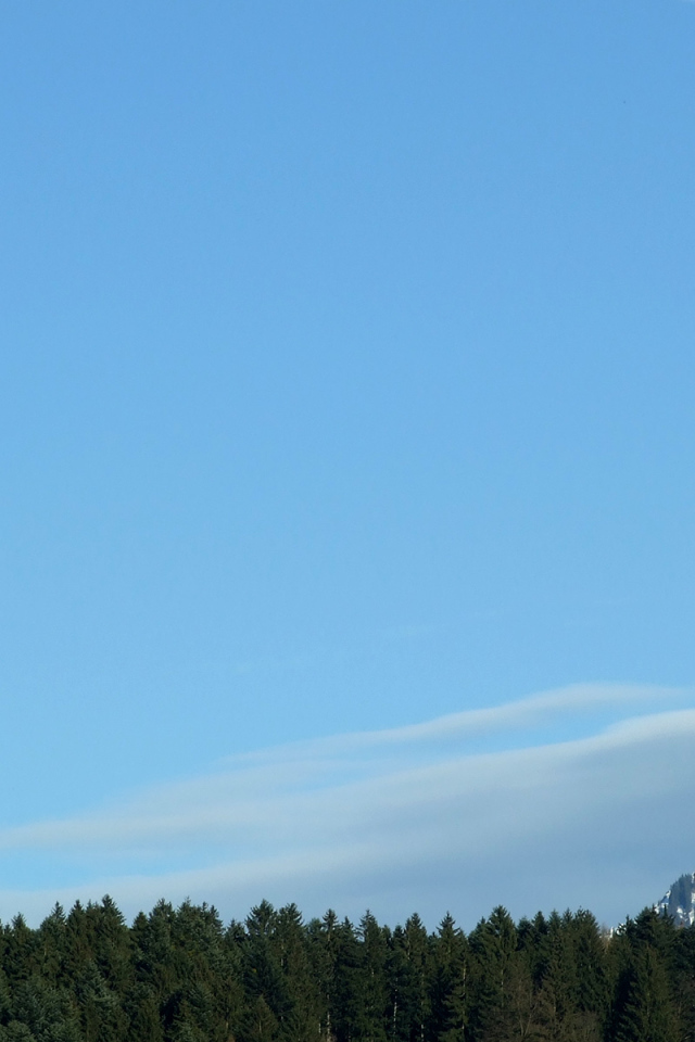 Гора над лесом