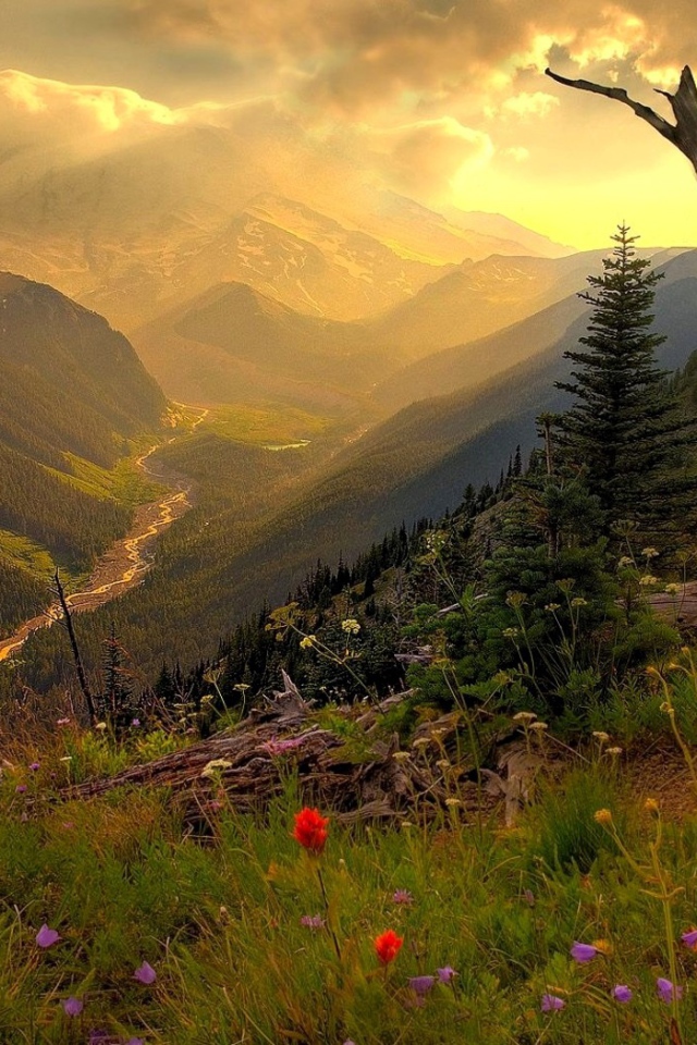 Горная долина