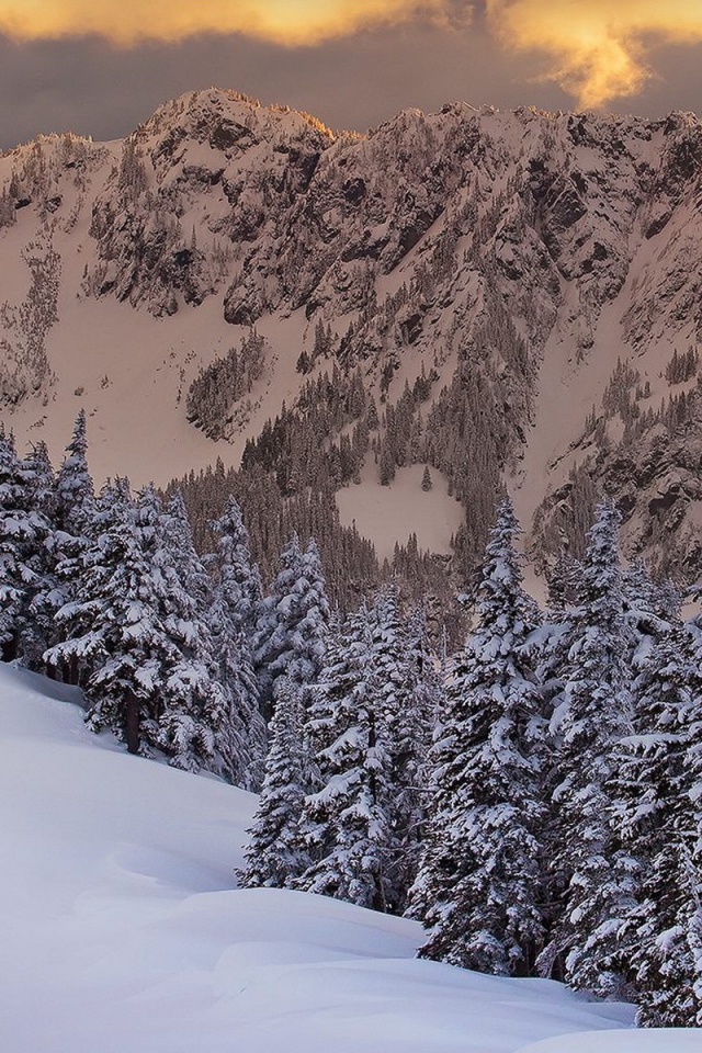 Горная свежесть