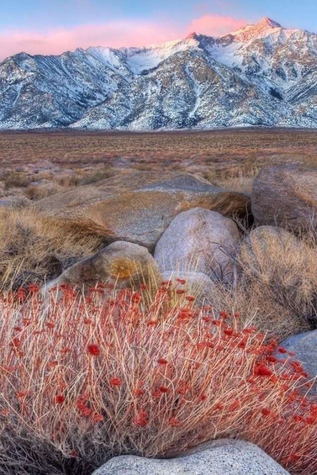 Горы среди пустыни