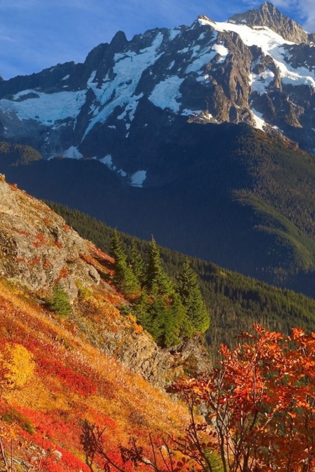 Оранжевый склон