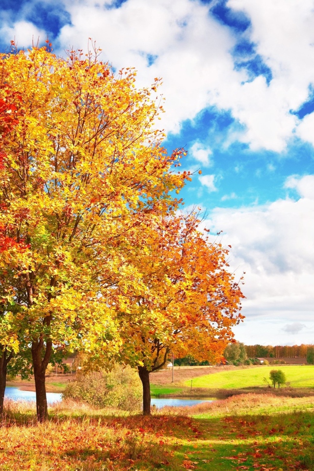 Осенний пейзаж