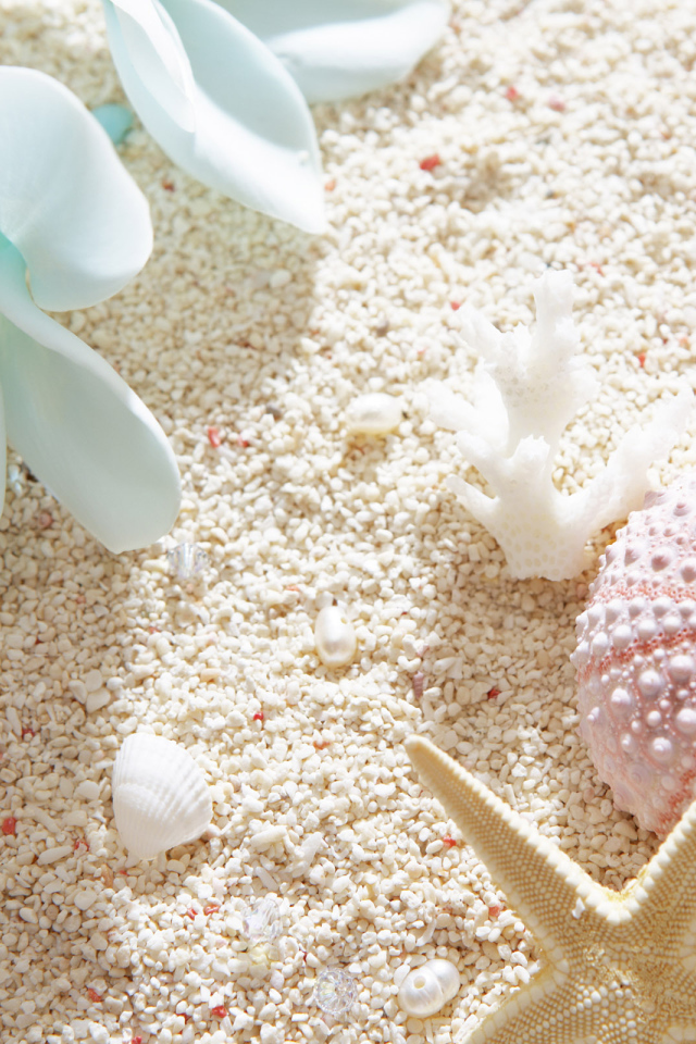 Красоты морского дна