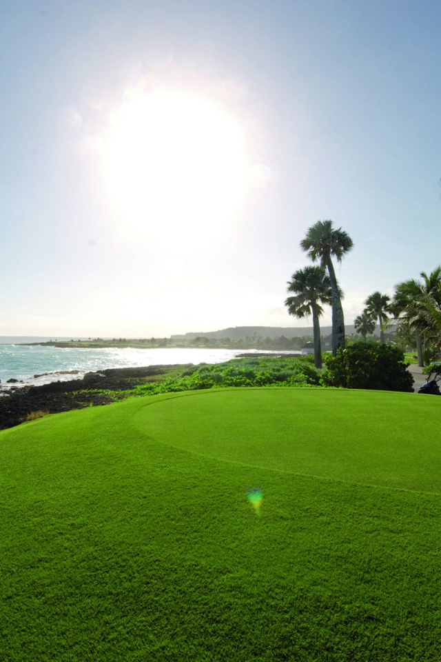 Поля для гольфа