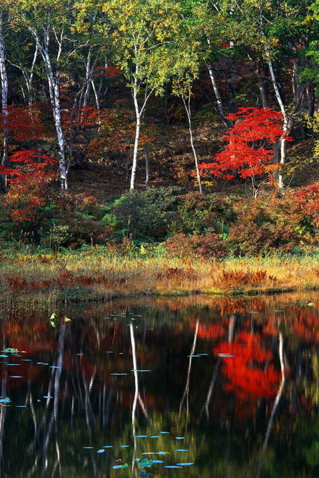 Пейзаж осени