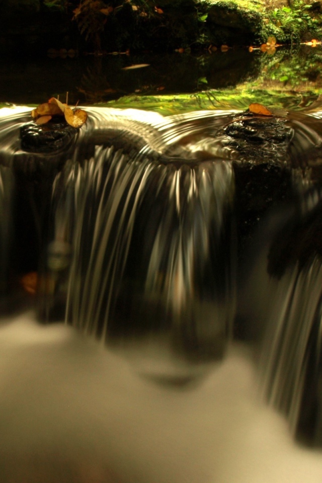 Источник жизни