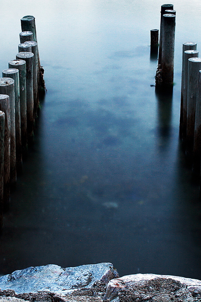 Бревна в воде