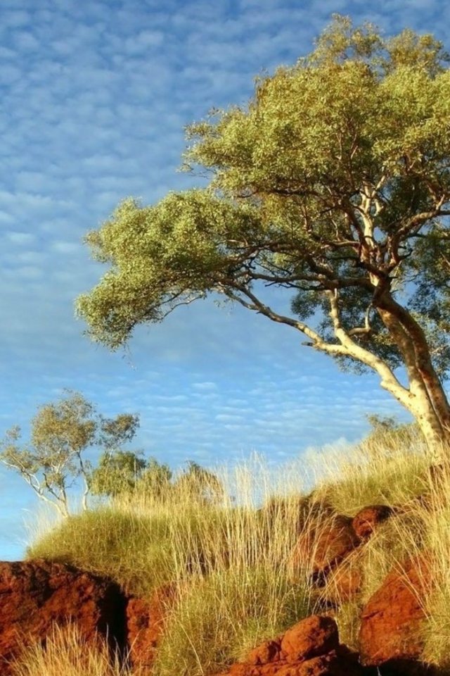 В солнечный день