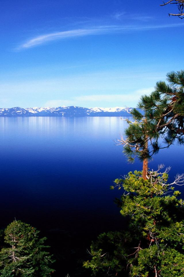 На фоне горного озера