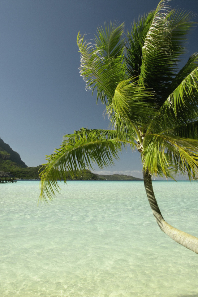 Райские острова