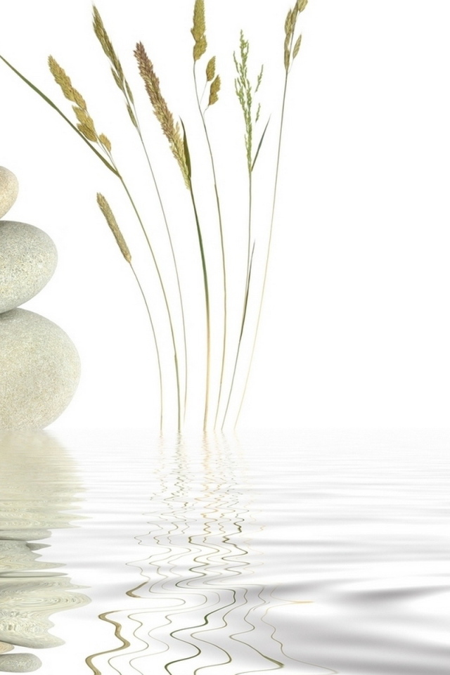 Отражение в воде