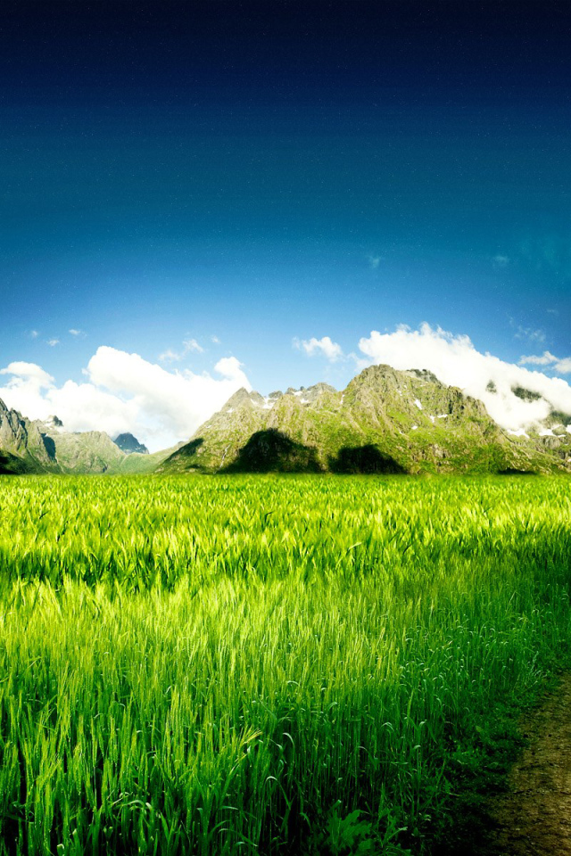 Дорога через поле