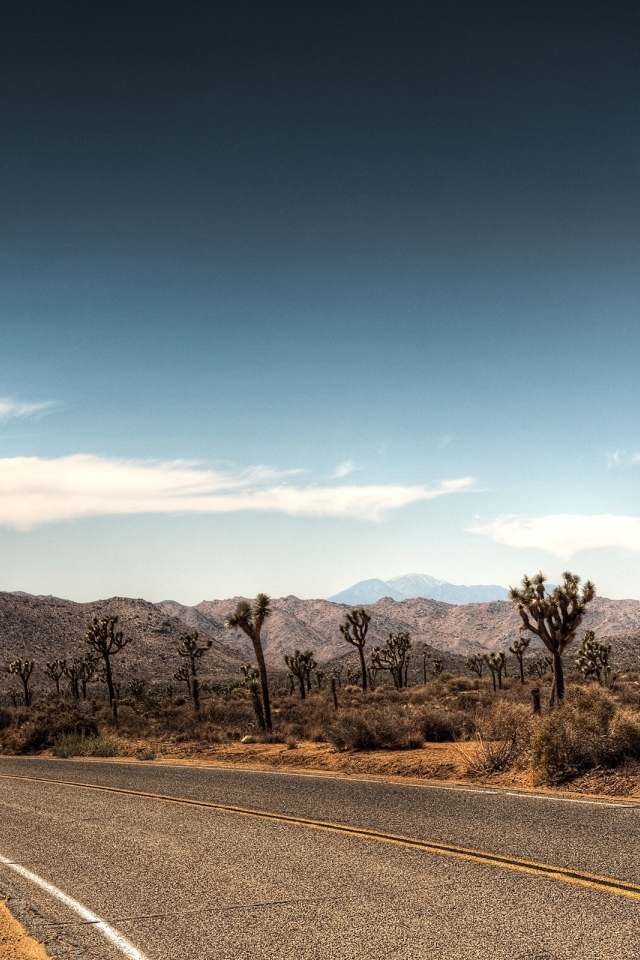 Дорога в пустыне