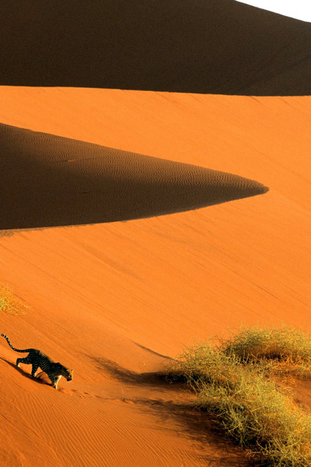 песчаные дюны