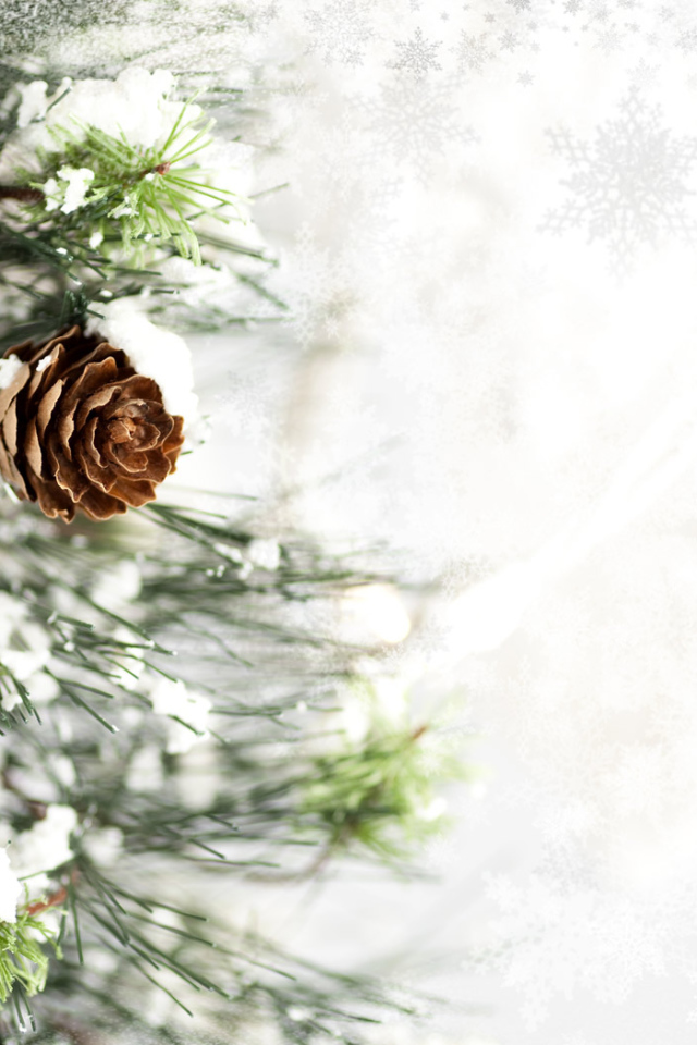 Ветка с шишкой