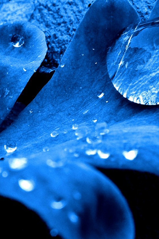 Синий листок