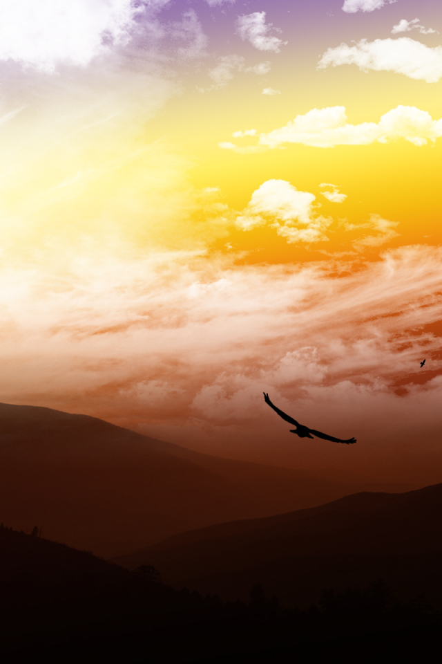 На высоте птичьего полета