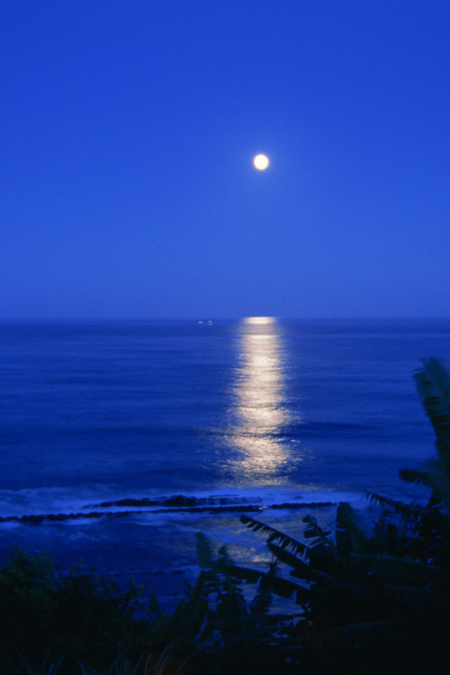 Лунная дорожка