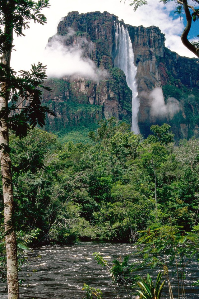 Водопад Ангела Венесуэла