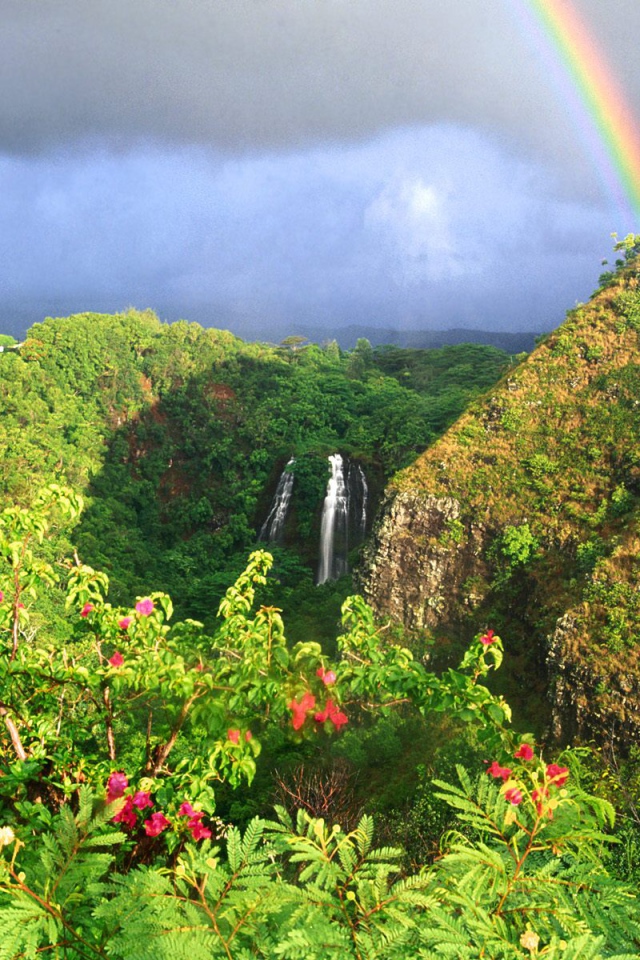 Водопад Опаека Гаваи