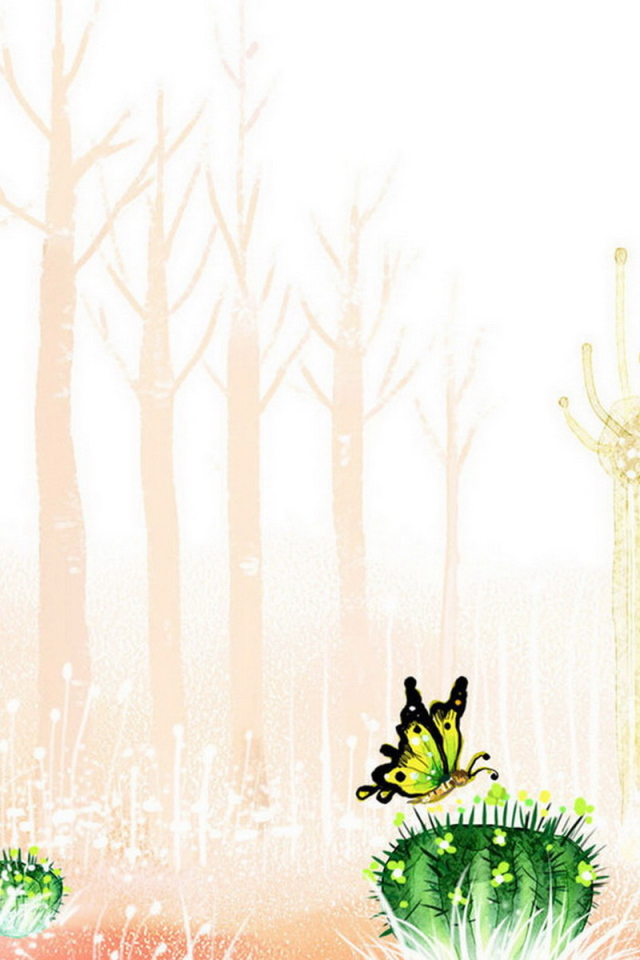 Цветущие кактусы