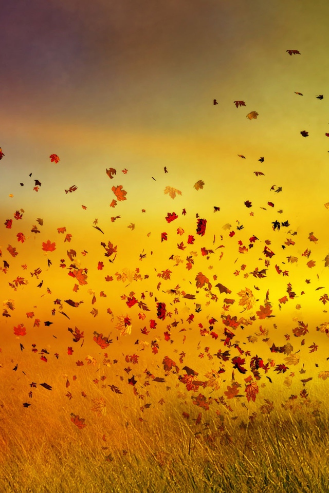 Изображение осени