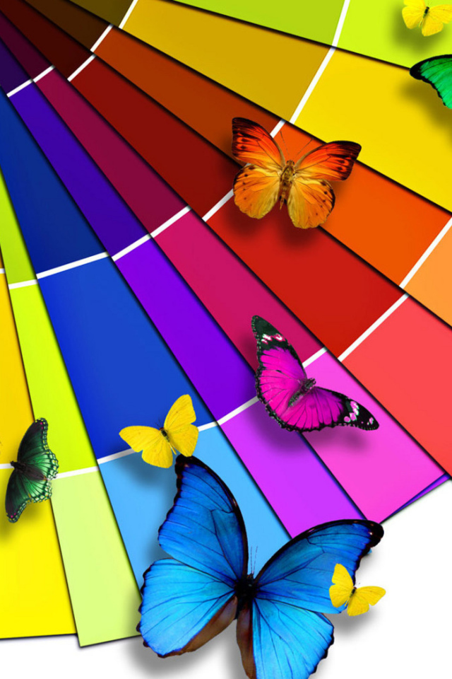 Разноцветные бабочки