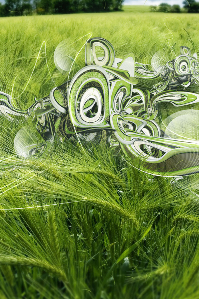 Пшеничное поле