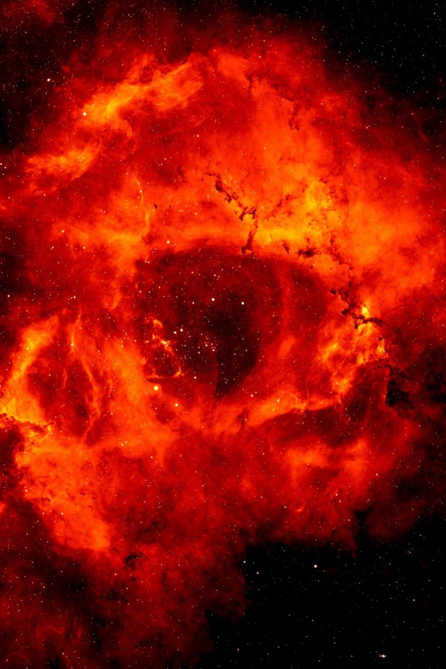 Туманность розетки