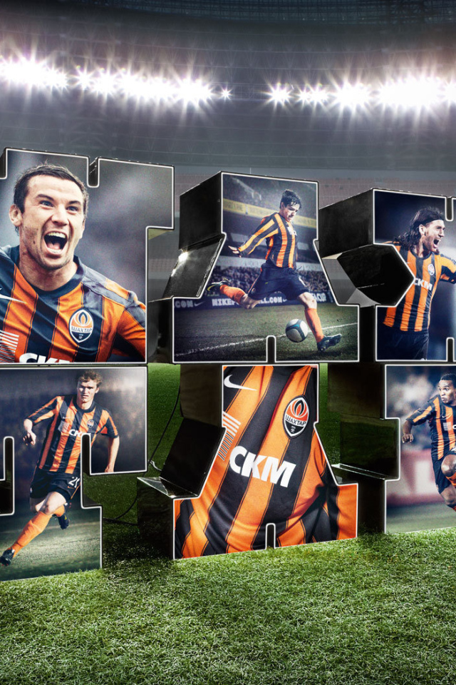 Футбольный клуб Шахтер Донецк