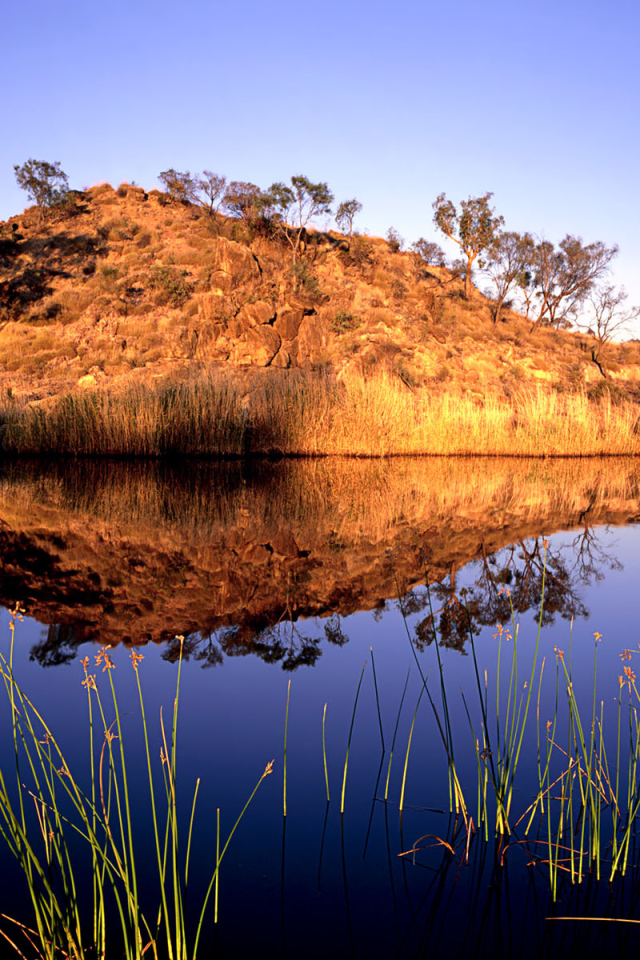 Река в Австралии