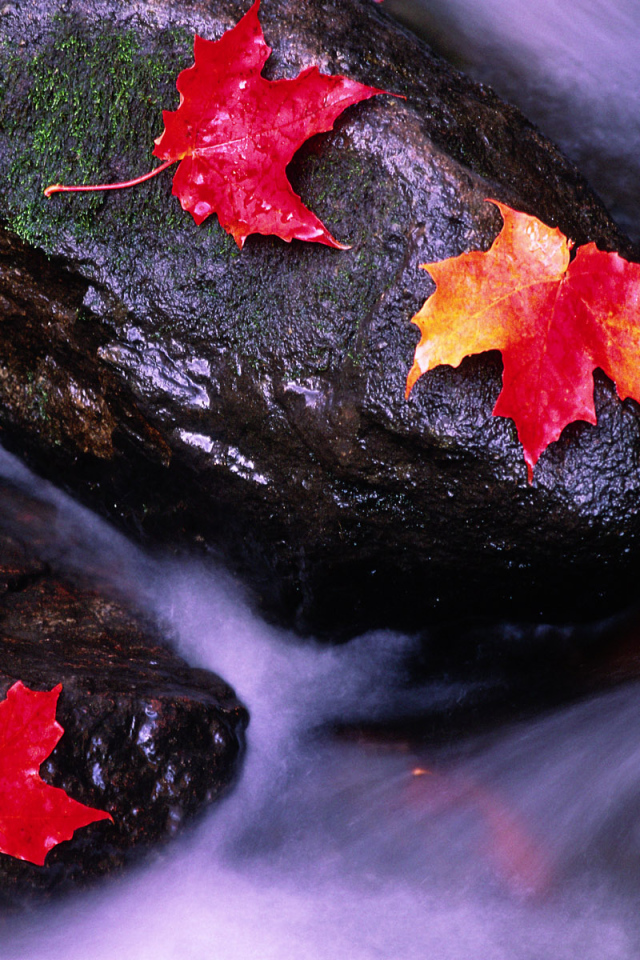 Реки Канады