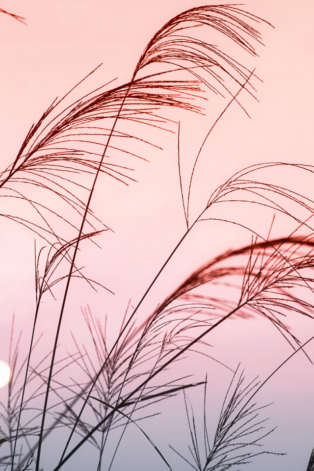 Солнечный закат в Китае