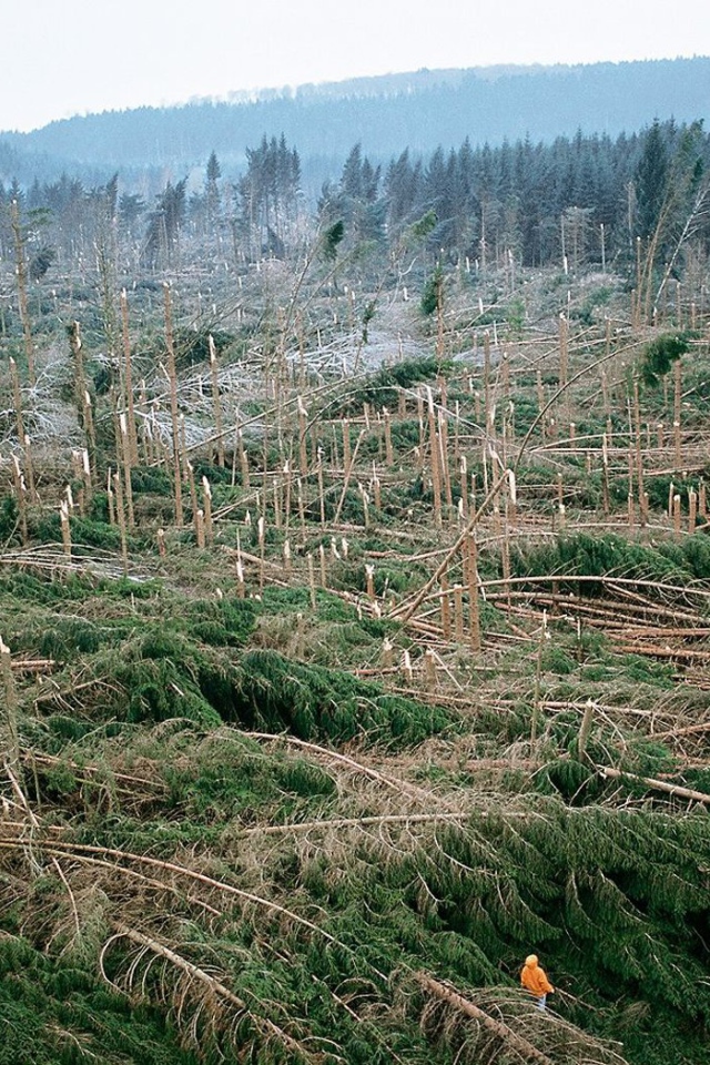 После урагана во Франции